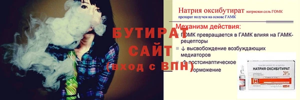 СК Алексин