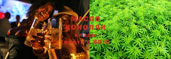 СК Алексин